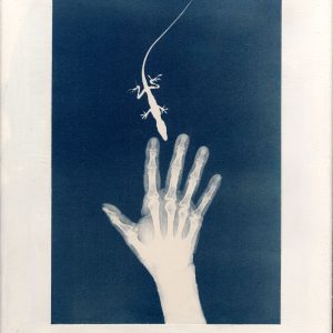 The Hand of the Artist