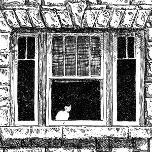 Cat in a Downtown Window III