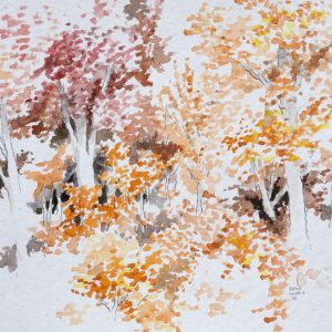 Sunlit Woods with Orange and Red Leaves