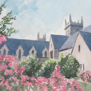 Azaleas in the Churchyard at Saint James