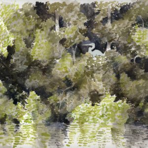 Blue Heron in Misty Shadowy Woods