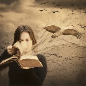 Open Book