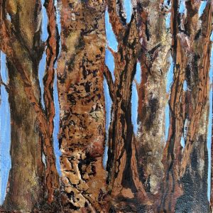 The Redwood Forest