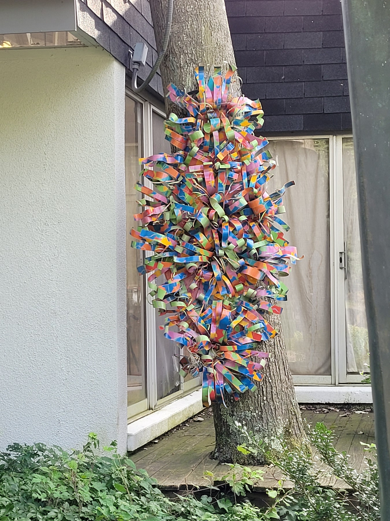 Shaman, 1988-2001 (DG088) - Image 2