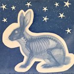Cyanotype Workshop for Beginners: Ages 13+
