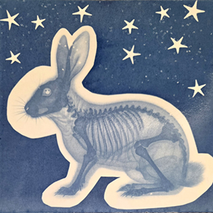 Cyanotype Workshop for Beginners: Ages 13+