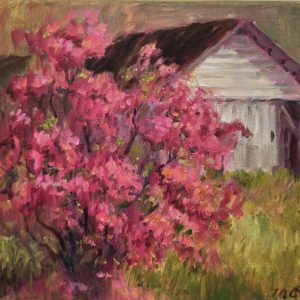 Azalea Morning