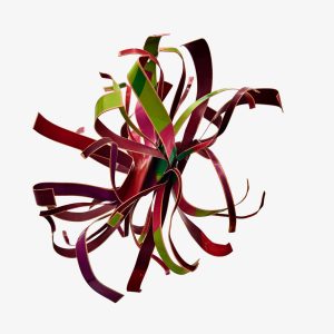 Starburst - Magenta (DG017)