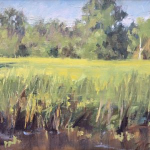Marsh Calm