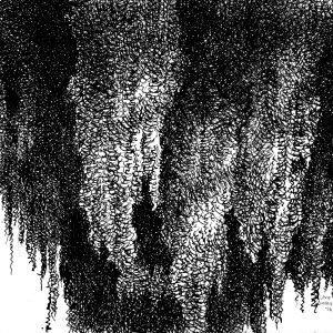 Spanish Moss II