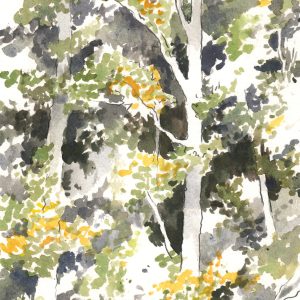 Sunlit and Shadowy Woods with Carolina Jessamine